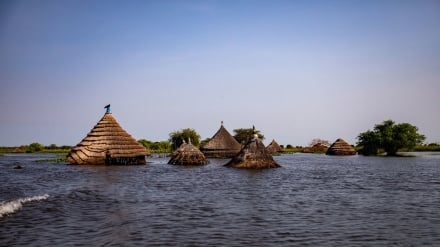 Mafuriko yaua makumi ya watu nchini Nigeria 