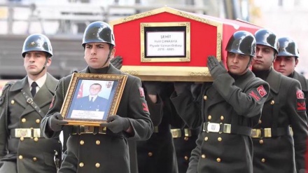 Idlib : l'Égypte avertit le Sultan !