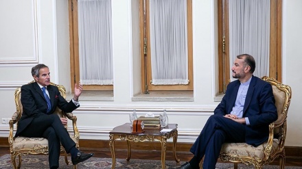 Iran è ben determinato a collaborare con l'Aiea