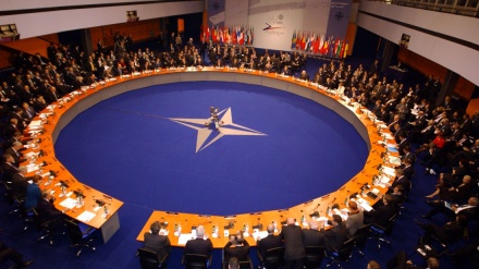Migranti: Polonia, Lituania e Lettonia valutano convocazione Consiglio della Nato
