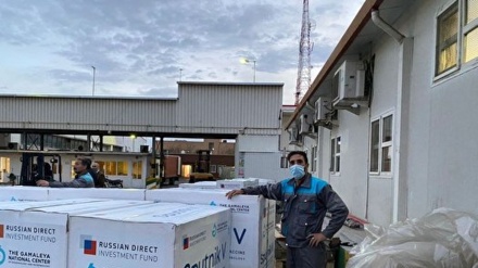 第81批新冠疫苗抵达伊朗