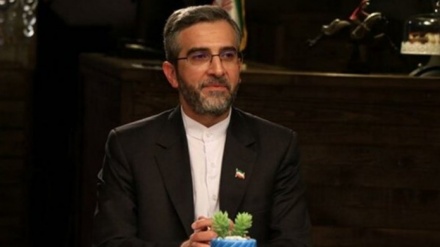 טהרן : ​​אין מו