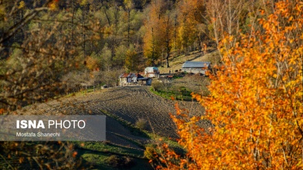 Bukuritë e stinës së vjeshtës në rajonin 