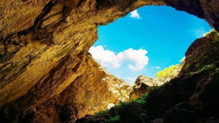    Бурник ғори