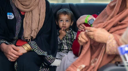  Thousands of Afghans apply for humanitarian parole in US, few approved 