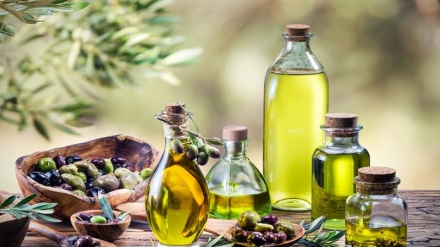 Triomphe tunisien à Miami : l’huile d’olive en tête du concours mondial