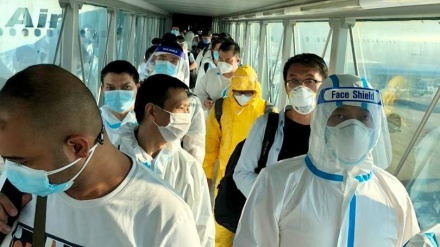 中国新增冠病74例 