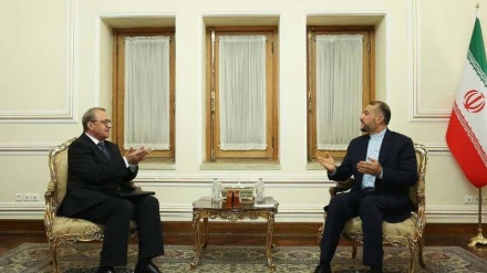 阿米尔·阿卜杜拉希杨：伊朗出席维也纳会谈，具有达成有效协议的强烈意愿