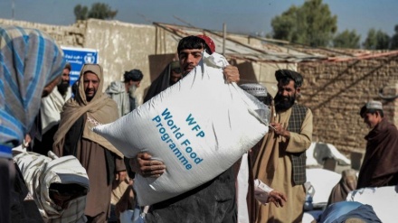 阿富汗有 2300 万人需要粮食援助