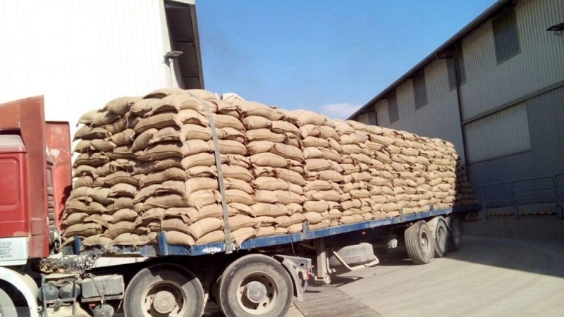 گندم های هند از ماه فوریه به افغانستان ارسال می شود