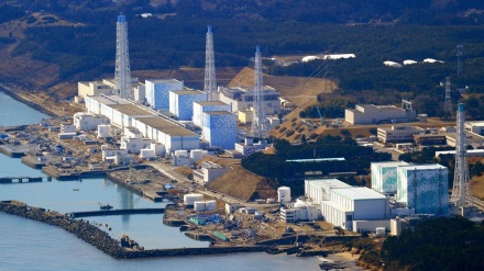 福島原発事故の水産物への影響に関するIAEAの調査に仏独韓が参加