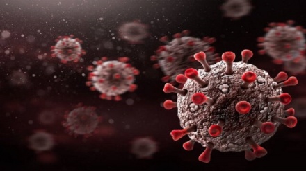 کشفیات جدیدی در مورد ویروس کرونا