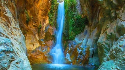 Варвор шаршараси