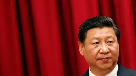 习近平:中国将增设进口贸易促进创新示范区