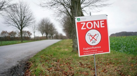 ＯＩＥが、鳥インフルの拡大を警告