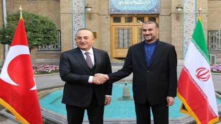 土耳其外长：西方国家应取消对伊制裁