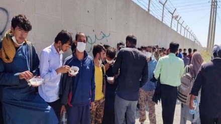 Iran left on its own with millions of Afghan refugees: Minister