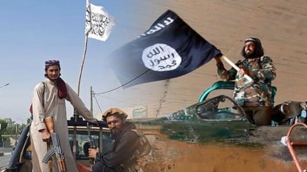 Taliban Hancurkan Tempat Persembunyian Teroris Daesh di Kabul