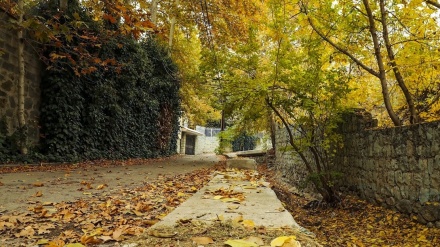 ما در ره عشقیم