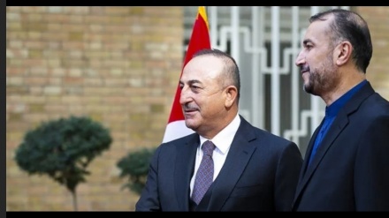 Amir-Abdolahian: Iran na Uturuki ni nchi mbili kubwa katika eneo na mchango wao haupingiki