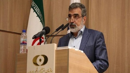 کمالوندی: ذخایر اورانیوم ۲۰ درصد ایران از ۲۱۰ کیلو عبور کرد