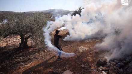  At least 135 Palestinian injured by Israeli forces in Nablus 