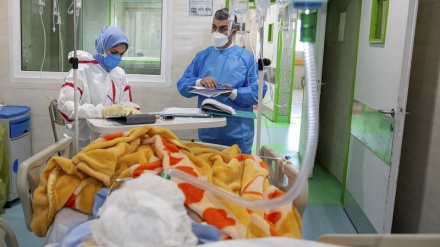  آخرین آمار کرونا در ایران 