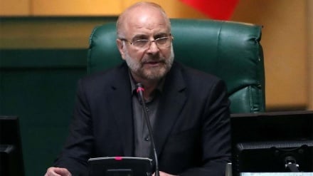 קליבאף: העדיפות היא ללחום בעוני ויצירת הזדמנויות העבודה