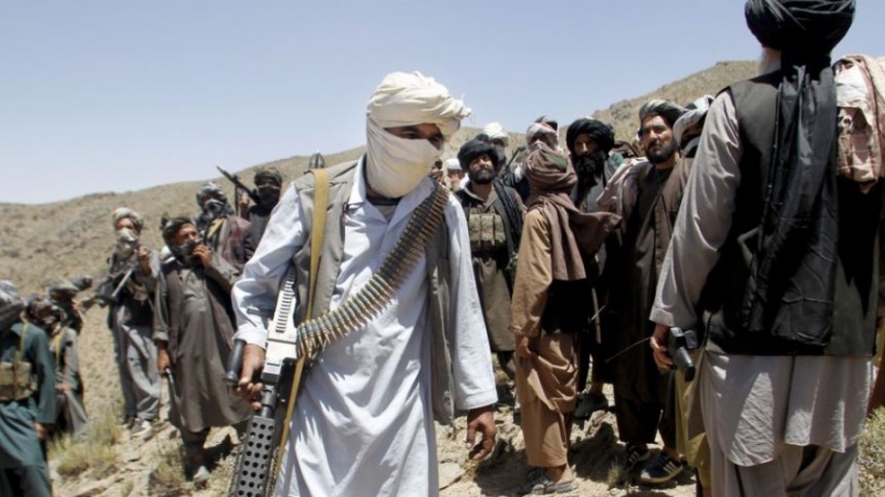 تاکید طالبان بر اخراج نیروهای خودسر از این گروه