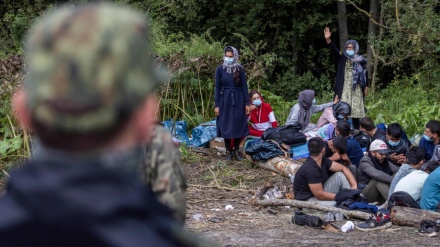 Gjermania refuzon kërkesën për pranimin e azilkërkuesve të ndaluar në kufirin polak