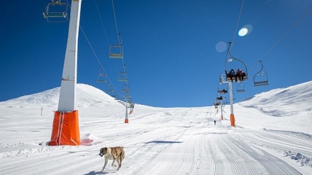 Tochal, Destinasi Wisata Salju di Tehran (2)