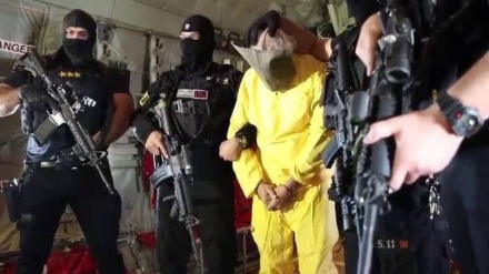 达易沙（ISIS）领导人在伊拉克被捕