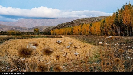 طبیعت پاییزی روستای کاسیان - خرم آباد