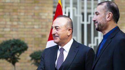 伊朗外长：伊土作为两个主要地区参与者对本地区事态发展发挥主要作用