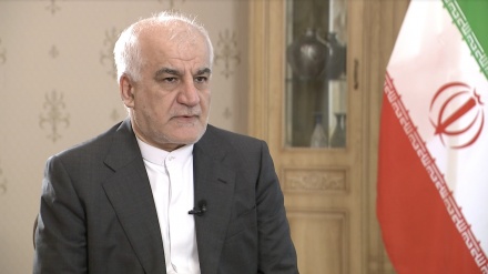 伊朗驻华大使：中国将在维也纳会谈中发挥突出作用