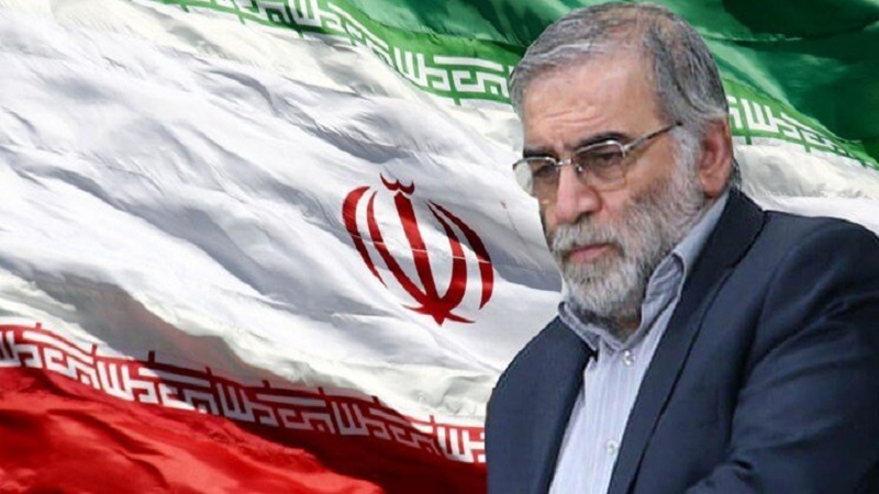 Syahid Mohsen Fakhrizadeh, ilmuwan nuklir Iran