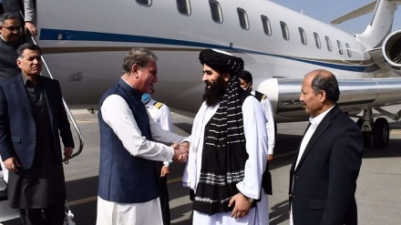 Taliban-appointed foreign minister visits Pakistan