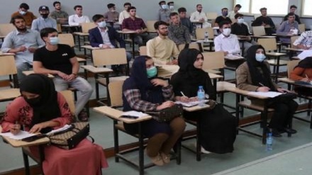 کاهش ۵۰ درصدی فعالیت دانشگاههای خصوصی افغانستان