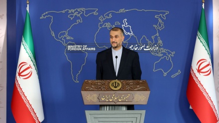 阿米尔-阿卜杜拉希杨：解除制裁将使伊朗更强大地参与区域合作