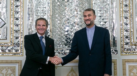 阿米尔-阿卜杜拉希杨：伊朗愿意认真地与国际原子能机构开展合作