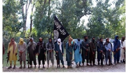 数十名达易沙恐怖份子在阿富汗投降