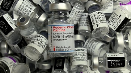 מודרנה: נפתח חיסון ספציפי נגד הזן החדש