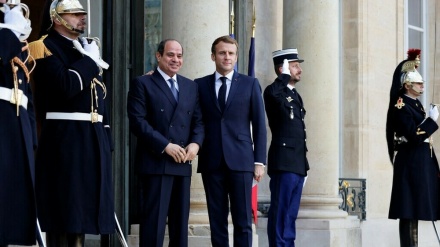 仏調査機関、「エジプトでの民間人殺害に仏軍装備が使用」