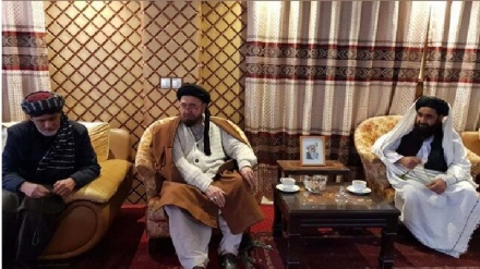  تشکیل «کمیسیون بررسی حقوق شیعیان» در افغانستان 