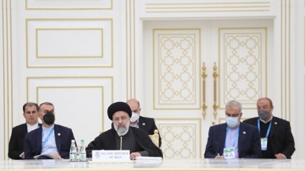 莱希强调伊朗支持 ECO 组织