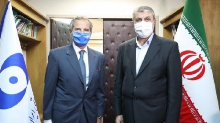 Rafayel  Qrossi de İroni Atom Enerji Onemoni rəyisi vindemon