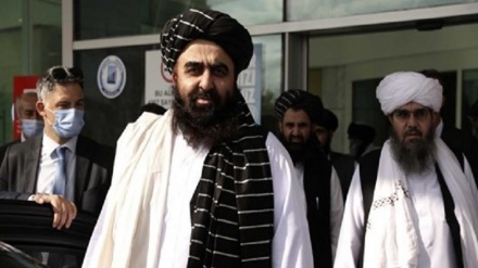 آمریکا مذاکرات خود با طالبان را در قطر از سر می‌گیرد