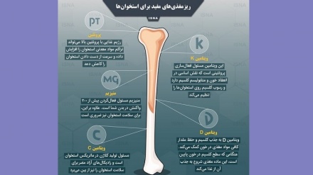 Резмағзҳои муфид барои устухонҳо