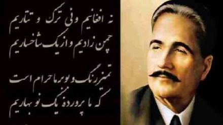 شیر وشکر  ۱۰