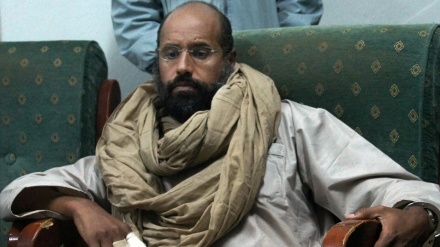 בנו של קדאפי נפסל מהתמודדות על הנשיאות בלוב